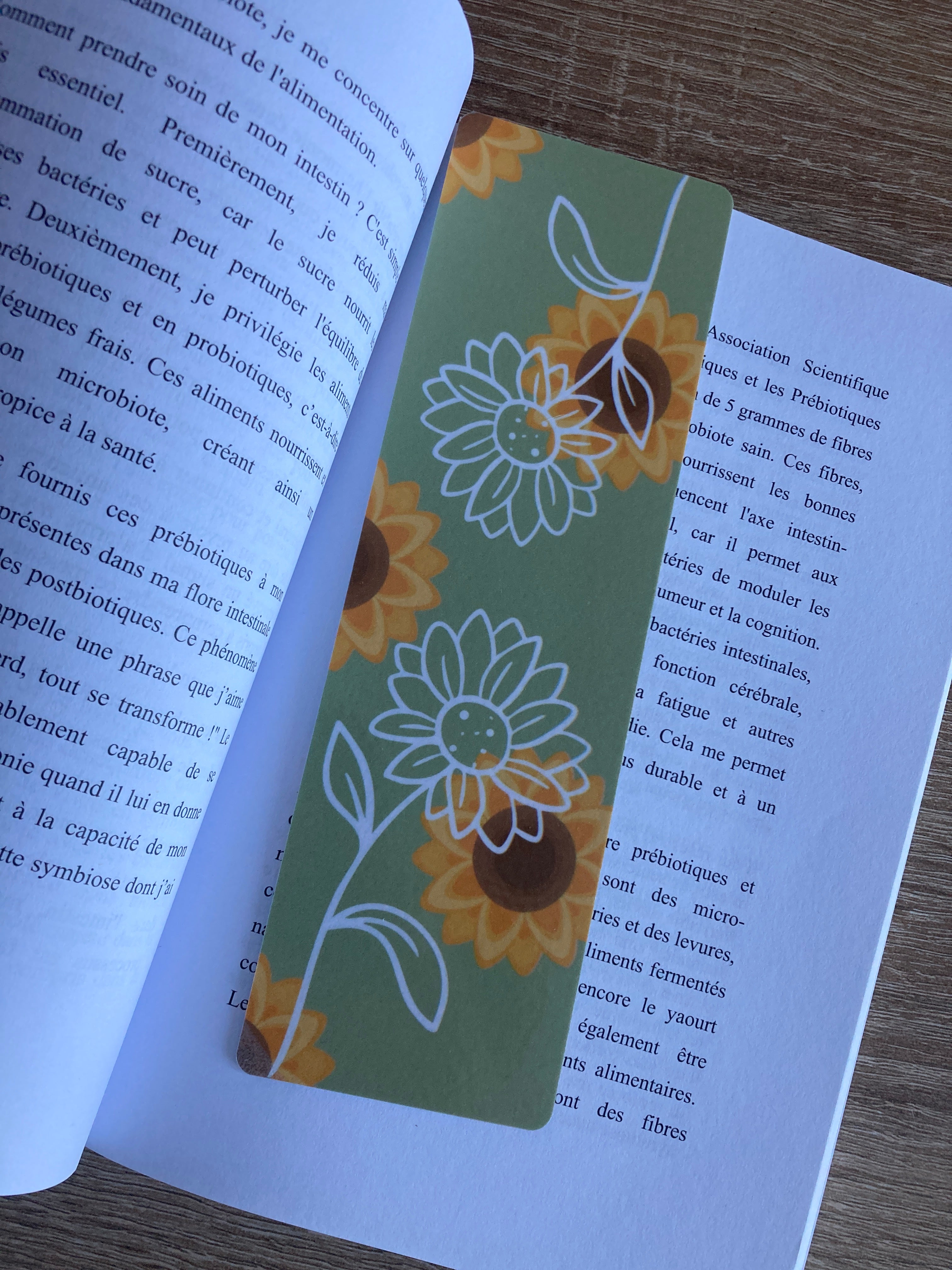 Dimanche au soleil